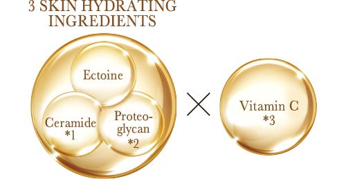 3 SKIN HYDRATING INGREDIENTS Ectoine Ceramide*1 Proteoglycan*2 Vitamin C*3