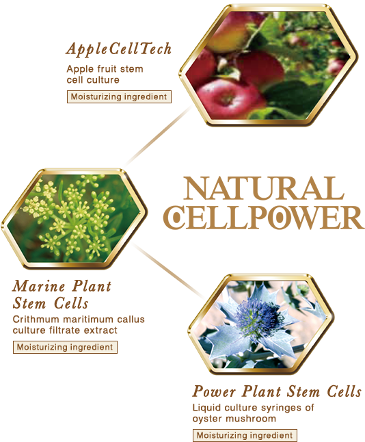 NATURAL CELLPOWER AppleCellTech / Marine Plant Stem Cells / Power Plant Stem Cells